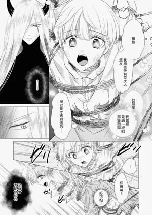 第543頁圖