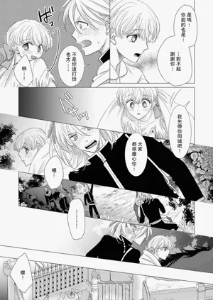 第558頁圖