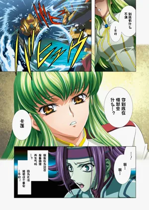第29頁圖