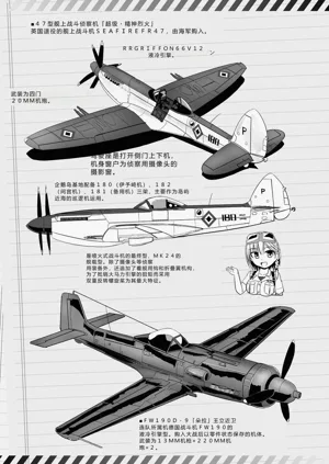 第217页图