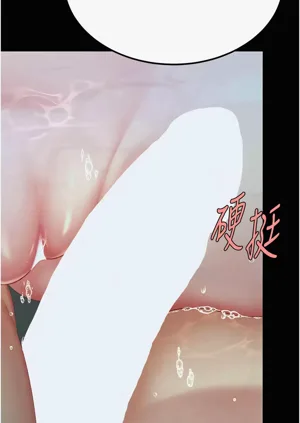 第452頁圖