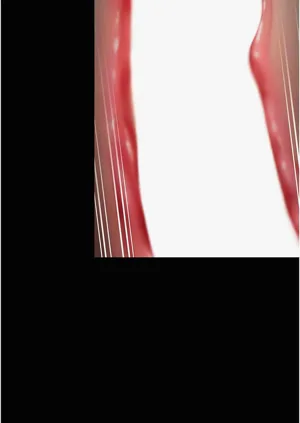 第675頁圖