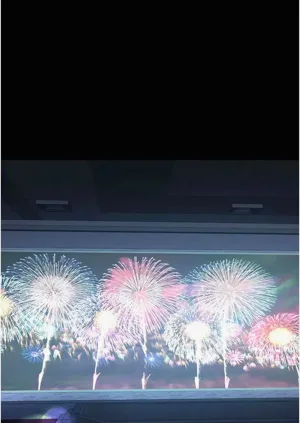 第74頁圖