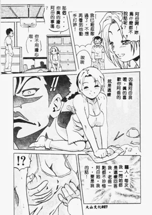 第29頁圖