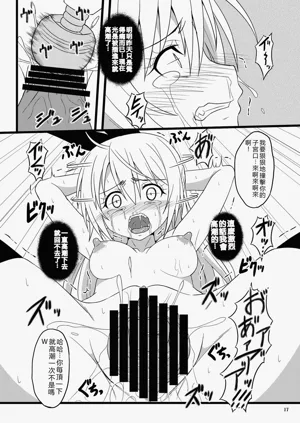 第17页图