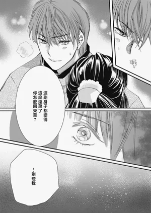 第91頁圖