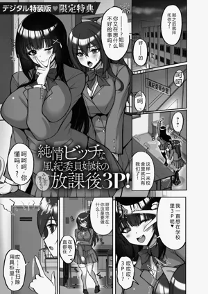 第231頁圖