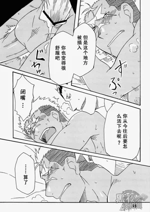 第33页图