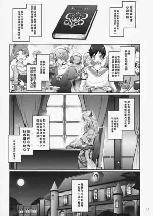 第17页图