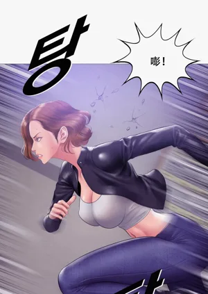 第241頁圖