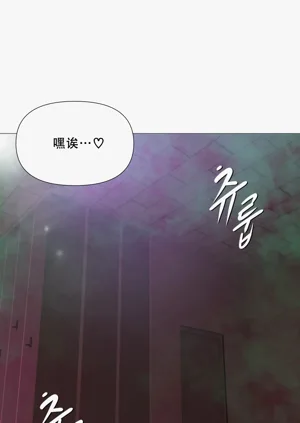 第305頁圖