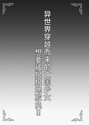 第3页图