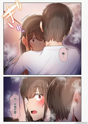 第305頁圖
