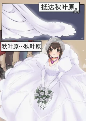 第105頁圖