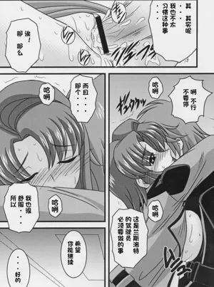 第13页图