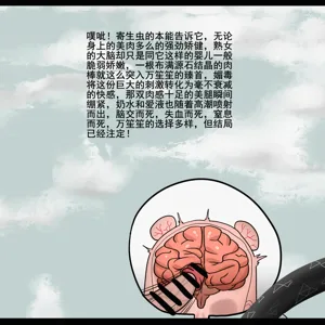 第103页图