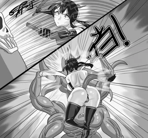 第248页图