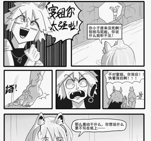 第482页图