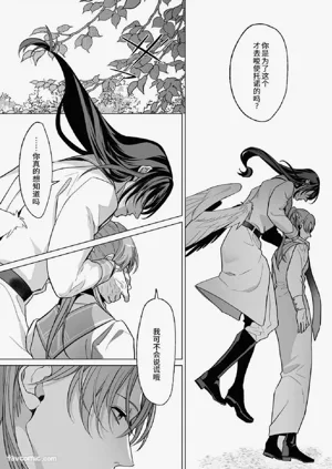 第219页图