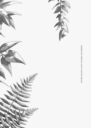 第122頁圖