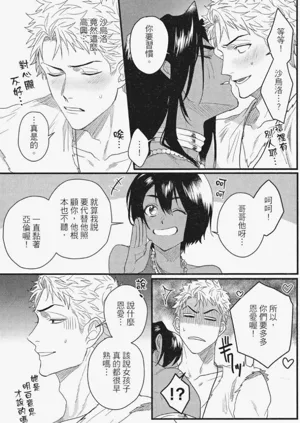 第204頁圖