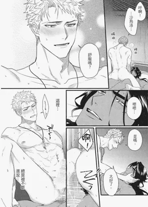 第219頁圖