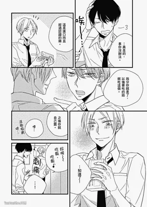 第31頁圖