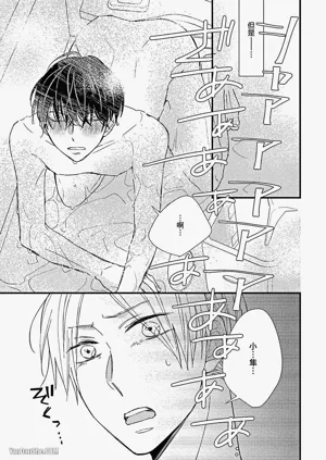 第42頁圖