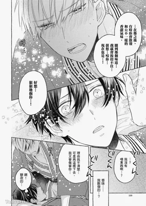 第110頁圖