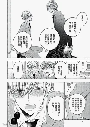第113頁圖