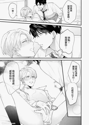 第141頁圖