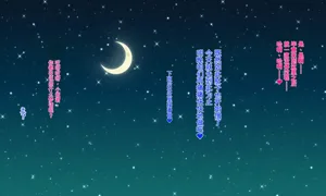 第168页图
