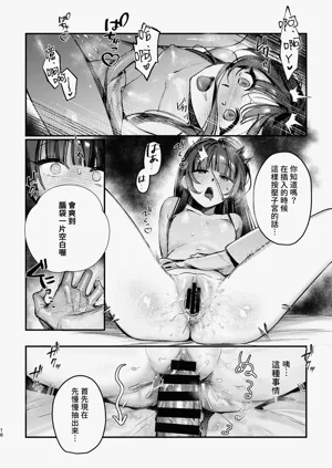 第17页图