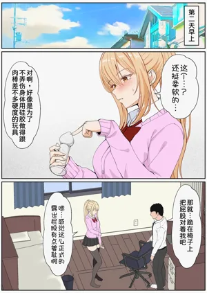 第333頁圖