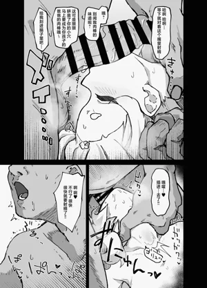 第17页图