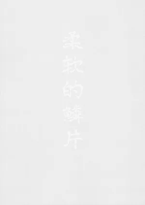 第3頁圖