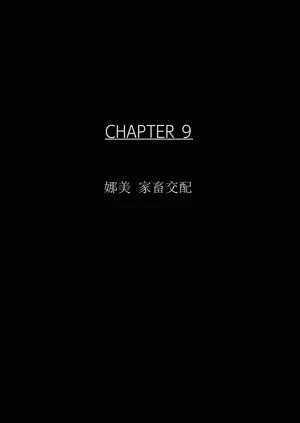 第53頁圖