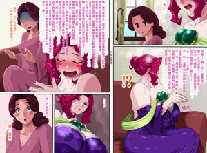 第14頁圖