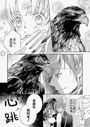 第79頁圖