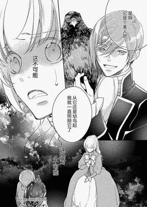 第81頁圖
