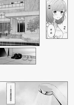 第251页图