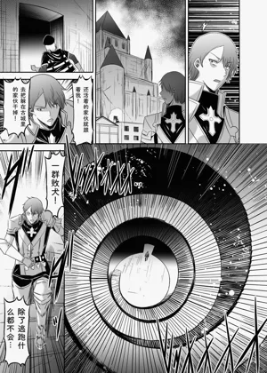 第223頁圖