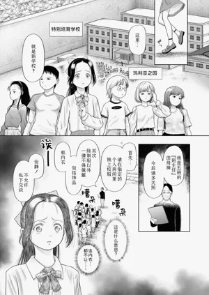 第8页图