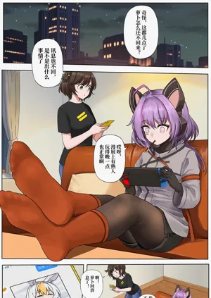 第11页图