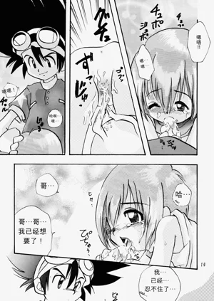 第13页图