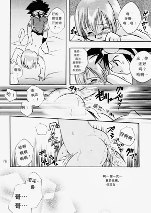 第17页图