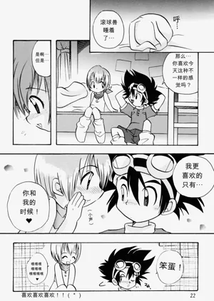 第21页图