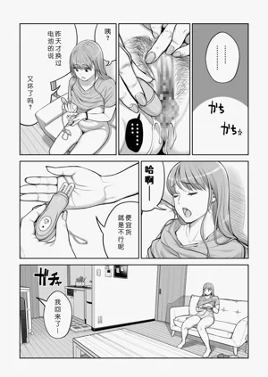 第33页图