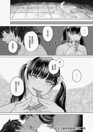 第28頁圖