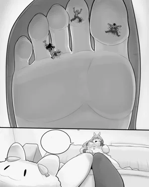 第11页图